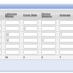 The Maternity Dashboard test data on the live system